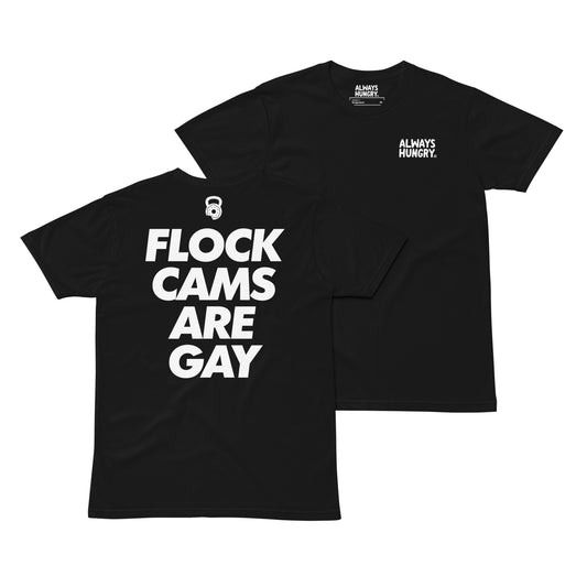 Flock Cameras Are Gay